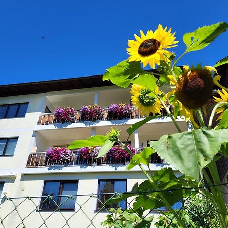 Gaestehaus Herma Ramsau am Dachstein Kültér fotó
