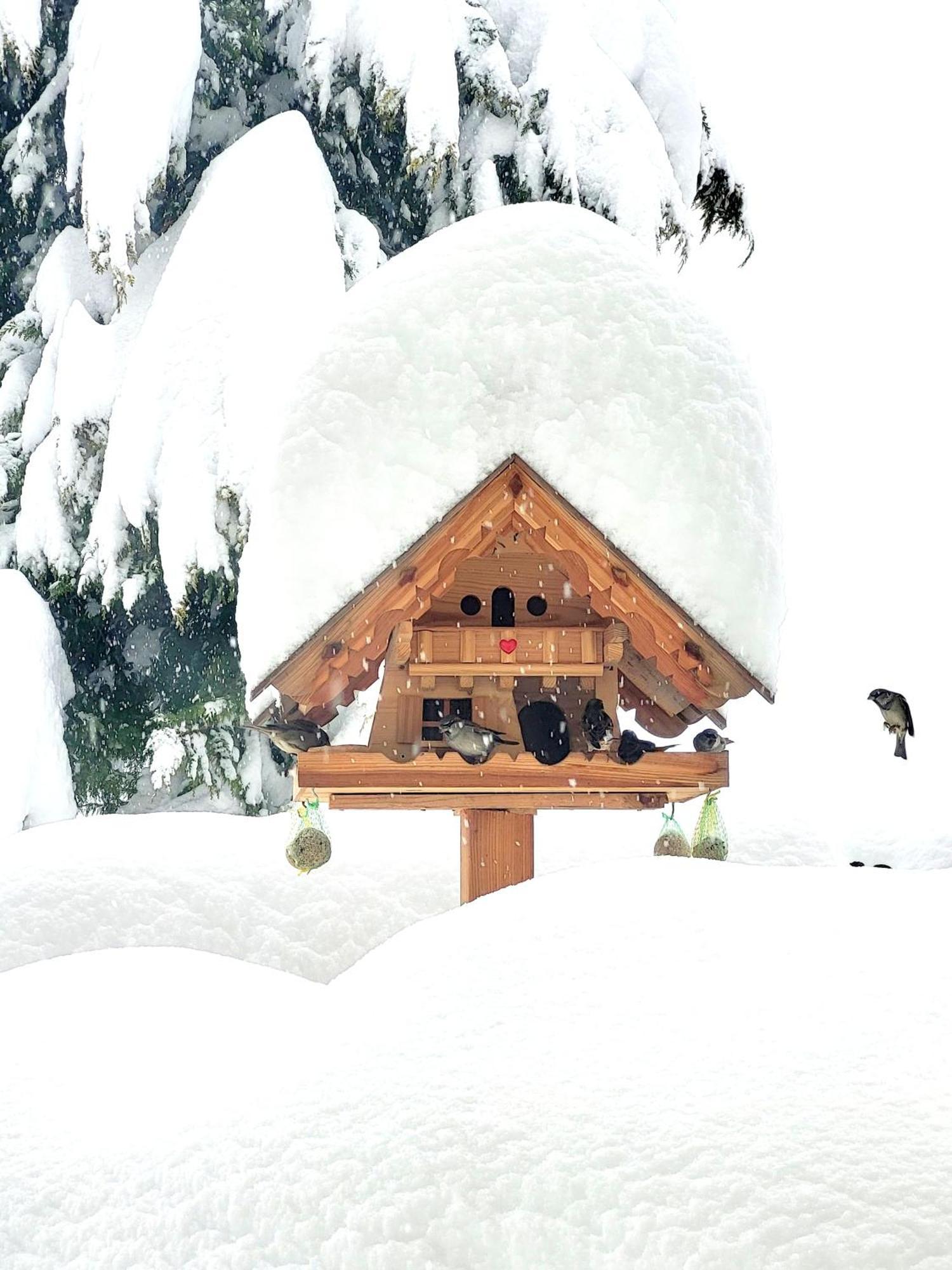 Gaestehaus Herma Ramsau am Dachstein Kültér fotó