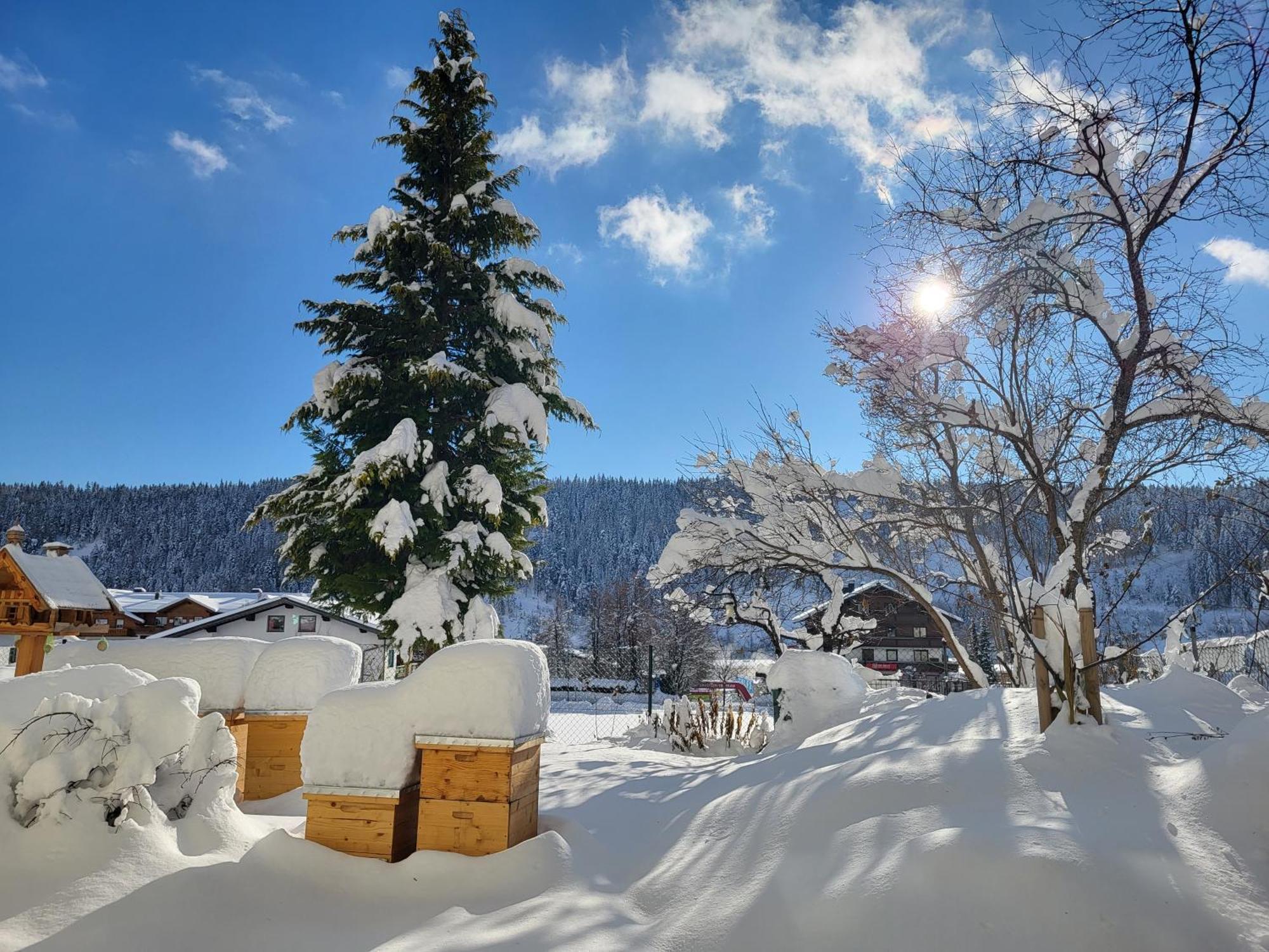 Gaestehaus Herma Ramsau am Dachstein Kültér fotó