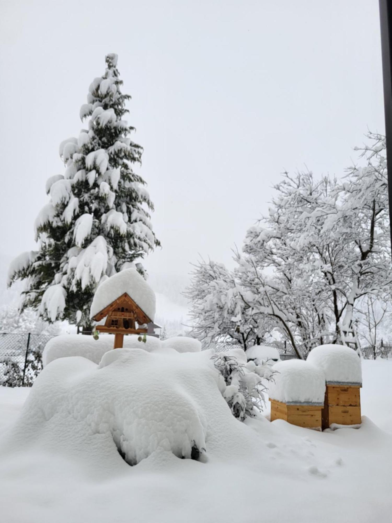 Gaestehaus Herma Ramsau am Dachstein Kültér fotó