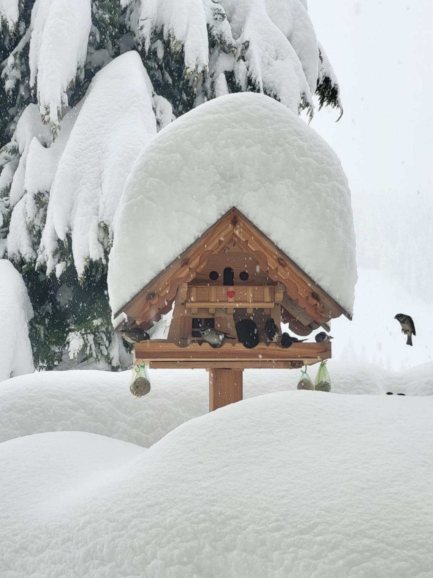 Gaestehaus Herma Ramsau am Dachstein Kültér fotó