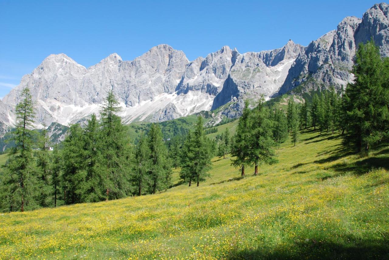 Gaestehaus Herma Ramsau am Dachstein Kültér fotó