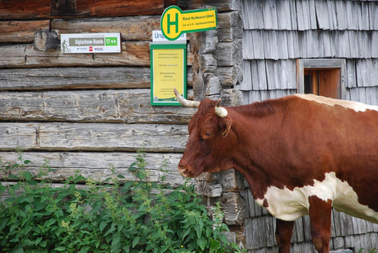 Gaestehaus Herma Ramsau am Dachstein Kültér fotó