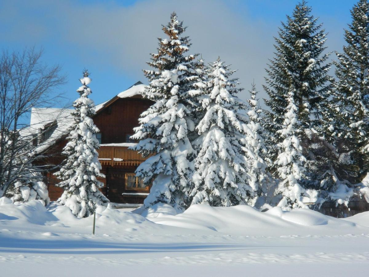 Gaestehaus Herma Ramsau am Dachstein Kültér fotó